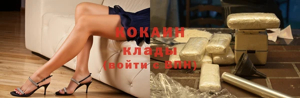 гашик Абинск