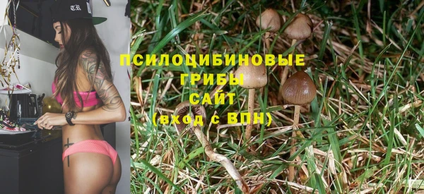 гашик Абинск
