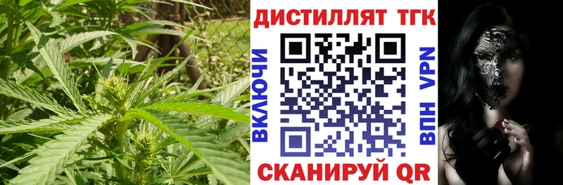 Дистиллят ТГК Wax  OMG вход  Кызыл 