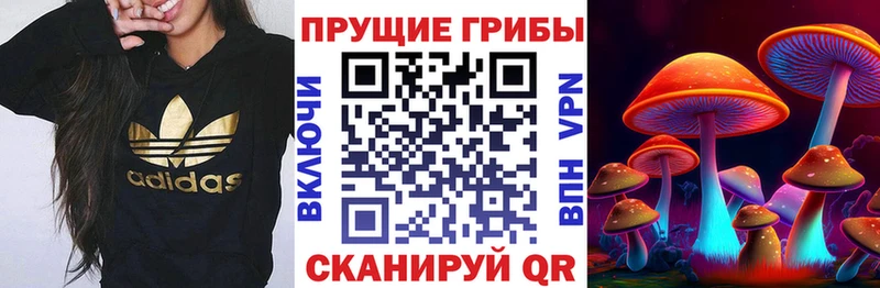 Галлюциногенные грибы Cubensis  Кызыл 