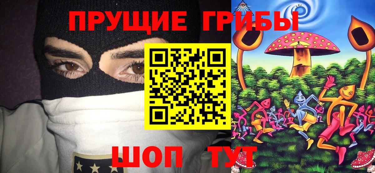 купить наркотики сайты  Вход с VPN  Кызыл  Галлюциногенные грибы прущие грибы 